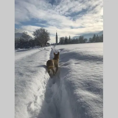 Appartamento In Einer Durch Jahrhunderte *