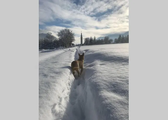 Apartament In Einer Durch Jahrhunderte *